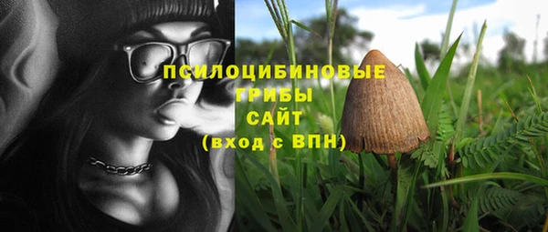 соль курить ск Гусиноозёрск