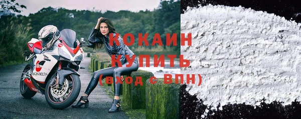 ешки Гусев