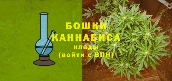 ешки Гусев