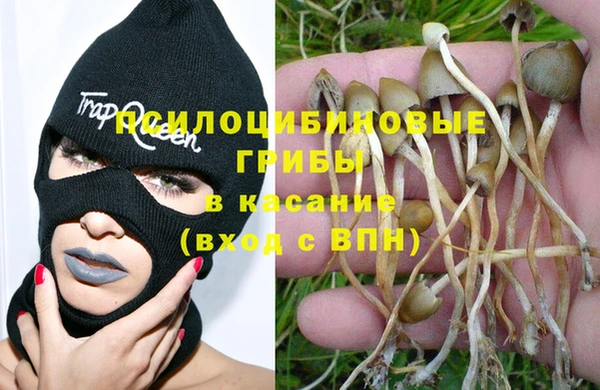 ешки Гусев