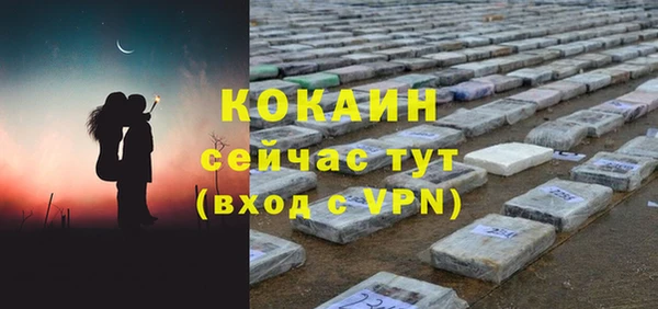 мяу мяу кристалл Гусь-Хрустальный