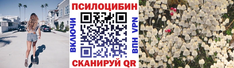 Псилоцибиновые грибы прущие грибы  Егорьевск 